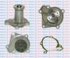 AQUAPLUS 85-4130 Water Pump